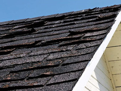 Double J Roofing and Contractors Images